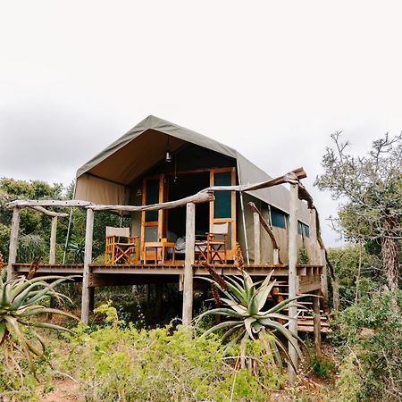 Woodbury Tented Camp - Amakhala Game Reserve Ngoại thất bức ảnh