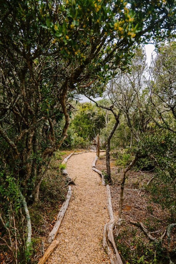 Woodbury Tented Camp - Amakhala Game Reserve Ngoại thất bức ảnh