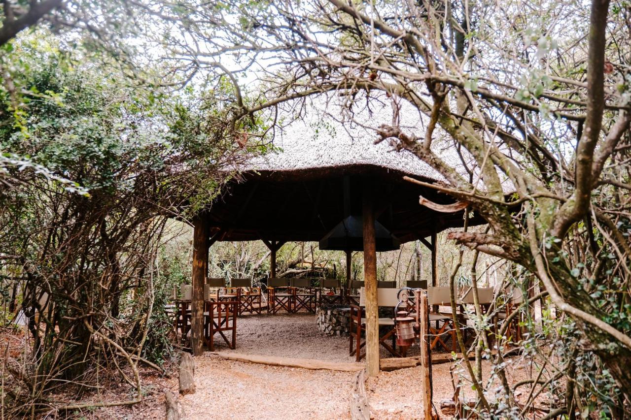 Woodbury Tented Camp - Amakhala Game Reserve Ngoại thất bức ảnh