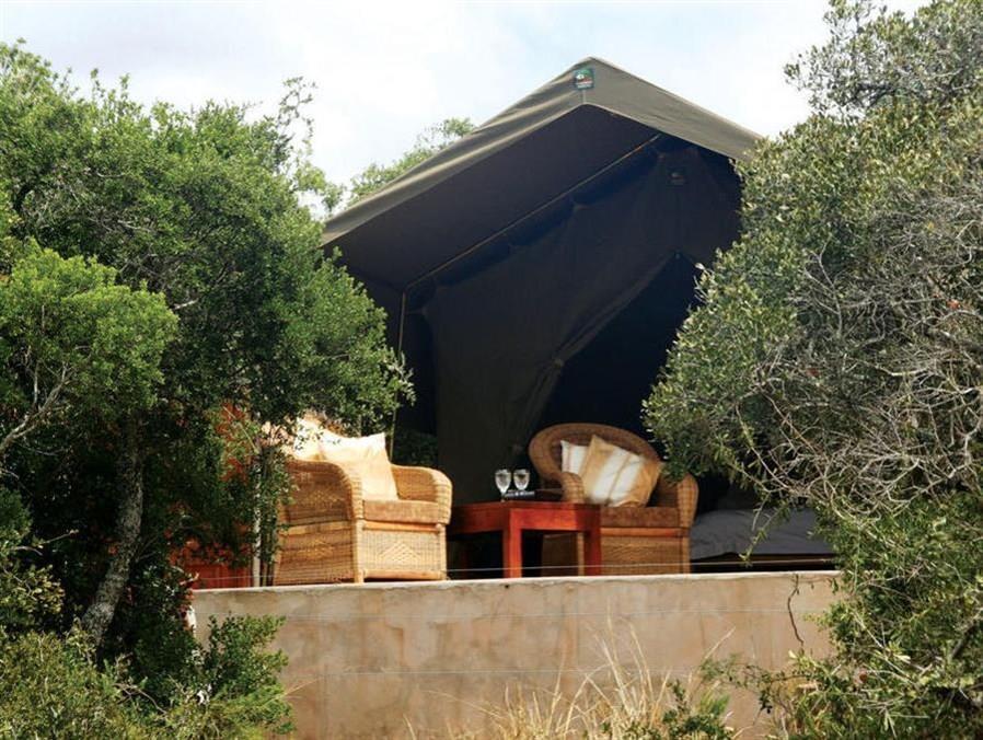 Woodbury Tented Camp - Amakhala Game Reserve Ngoại thất bức ảnh
