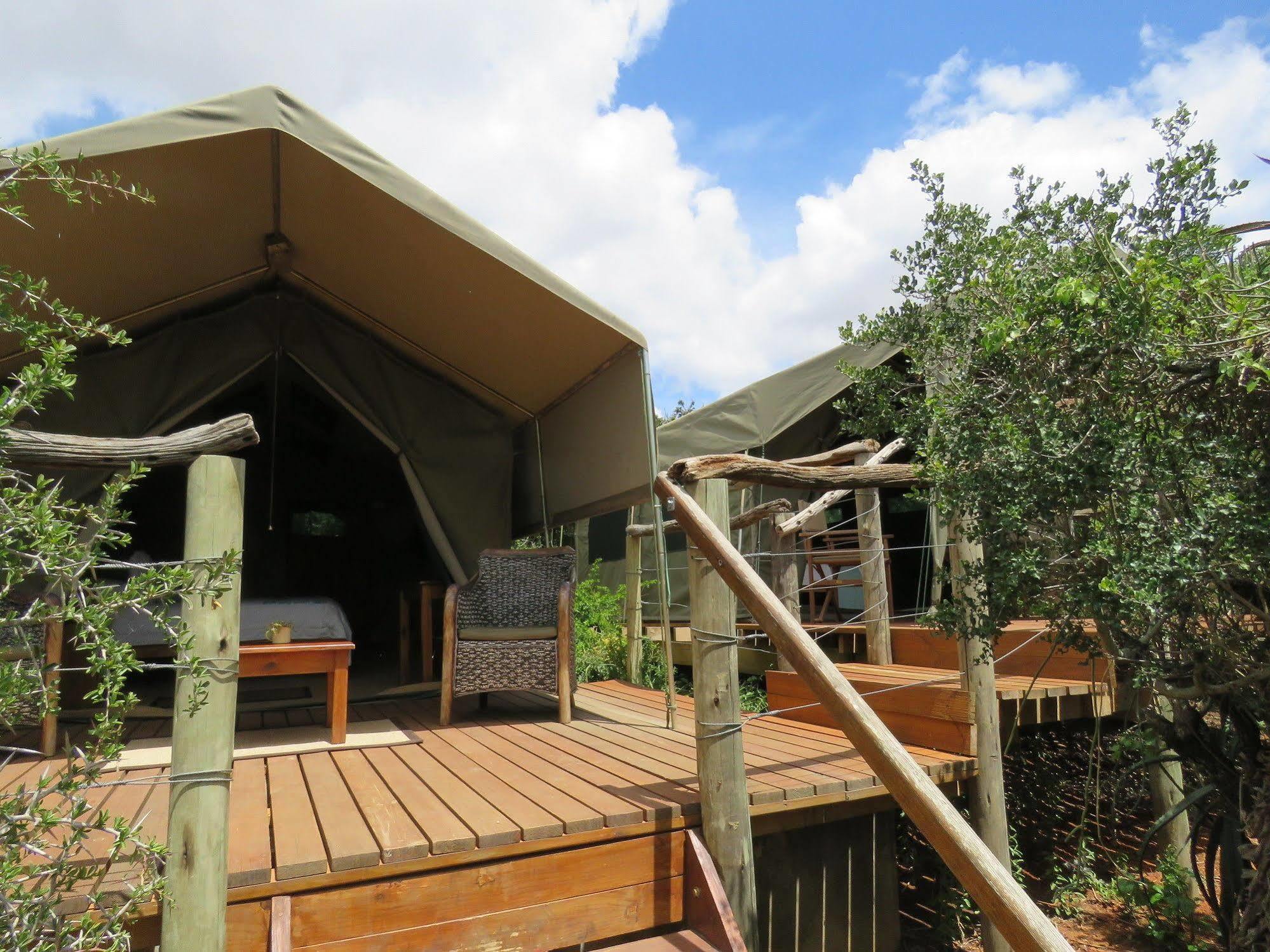 Woodbury Tented Camp - Amakhala Game Reserve Ngoại thất bức ảnh
