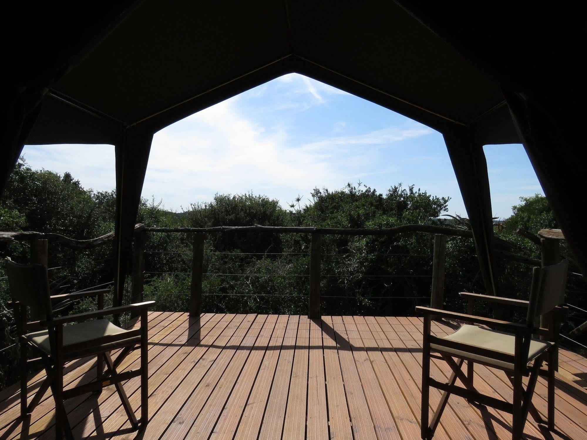 Woodbury Tented Camp - Amakhala Game Reserve Ngoại thất bức ảnh