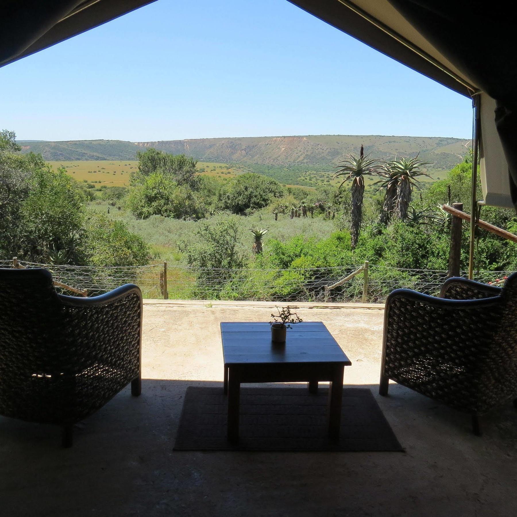 Woodbury Tented Camp - Amakhala Game Reserve Ngoại thất bức ảnh