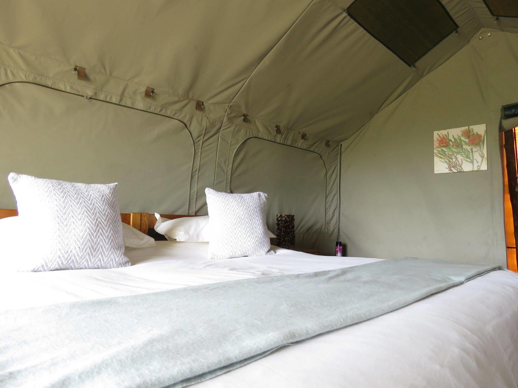 Woodbury Tented Camp - Amakhala Game Reserve Ngoại thất bức ảnh