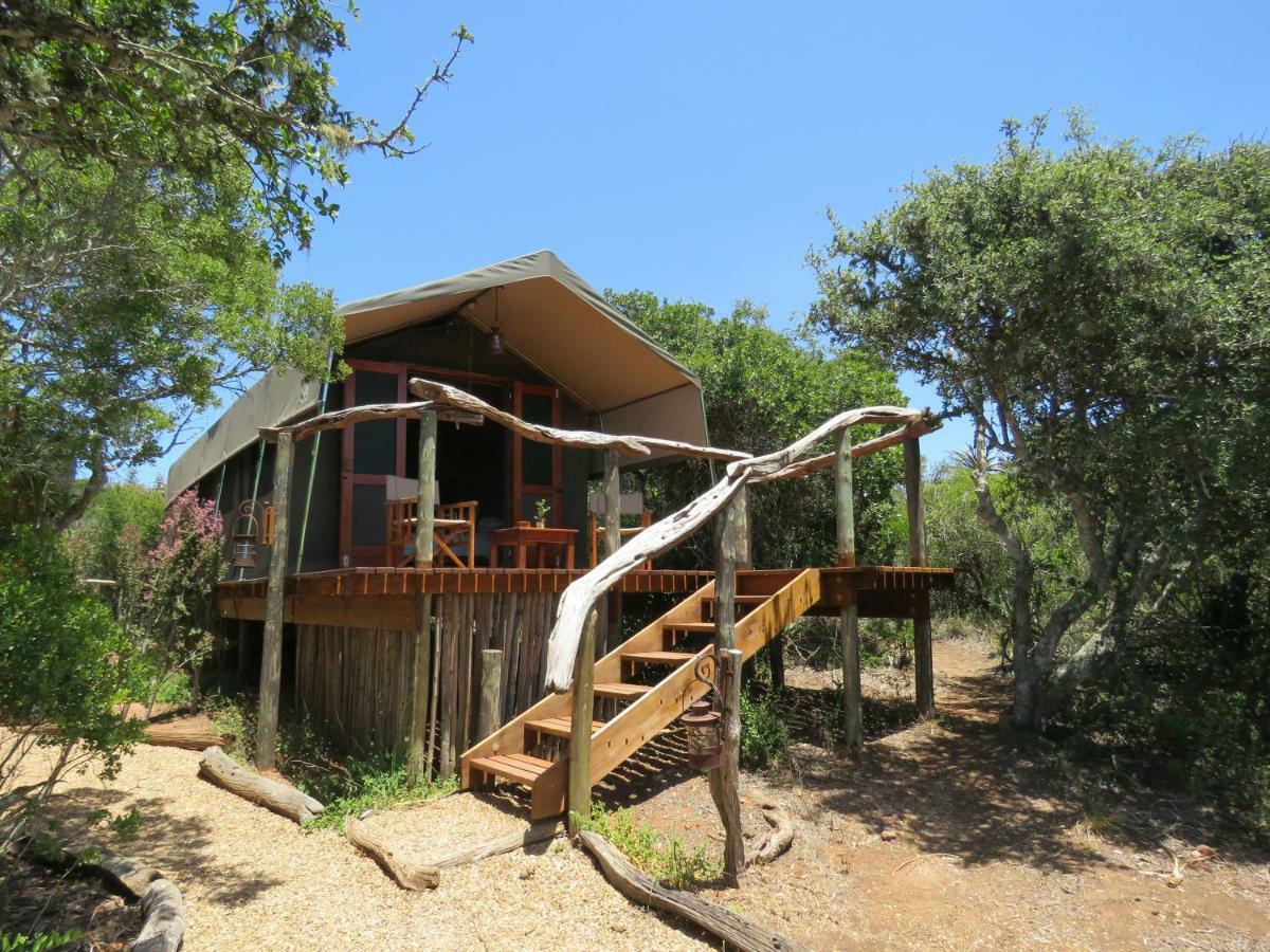 Woodbury Tented Camp - Amakhala Game Reserve Ngoại thất bức ảnh