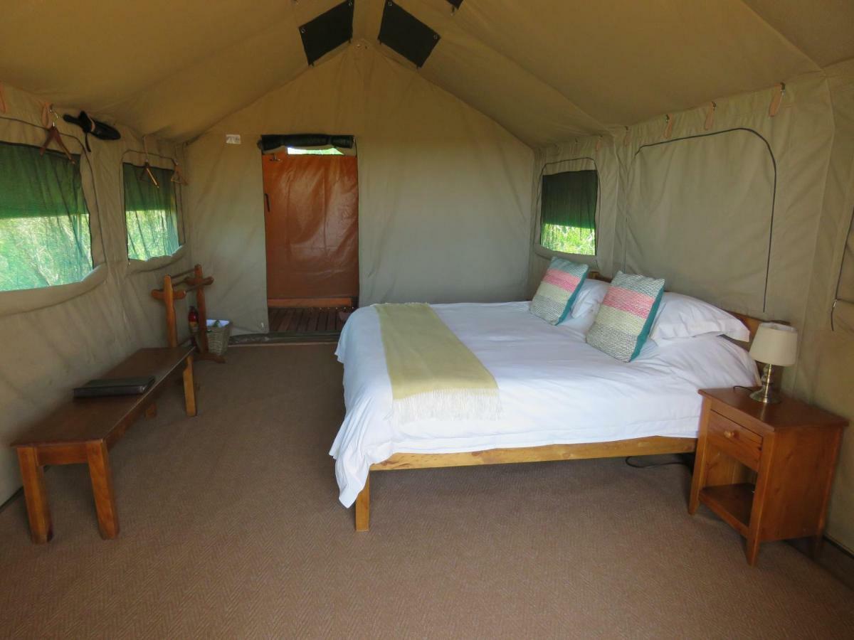 Woodbury Tented Camp - Amakhala Game Reserve Ngoại thất bức ảnh